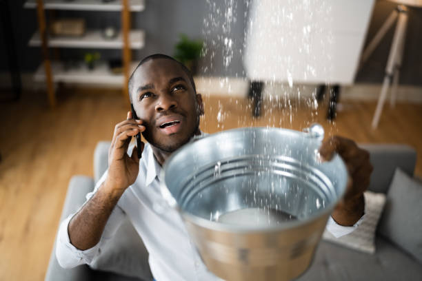 Best Basement water damage restoration  in Newburgh, IN
