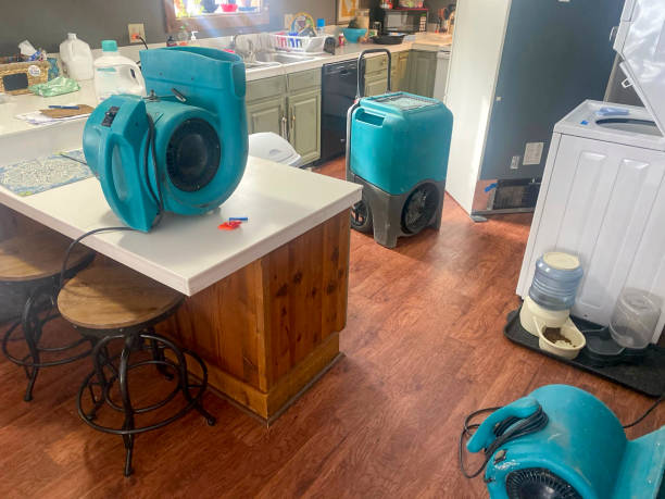 Newburgh, IN Water damage restoration Pros