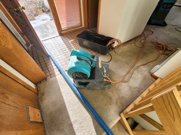  Newburgh, IN Water damage restoration Pros