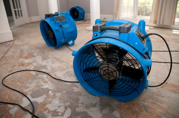Best 24/7 water damage repair  in Newburgh, IN