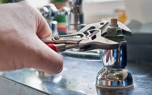 Best Flood restoration services  in Newburgh, IN