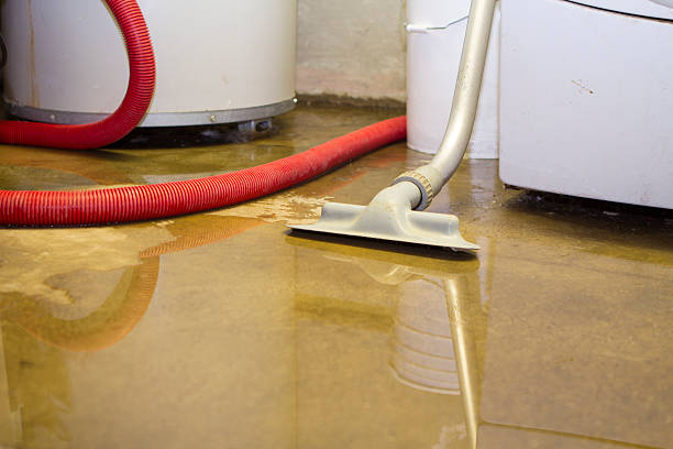 Best Emergency water damage restoration  in Newburgh, IN