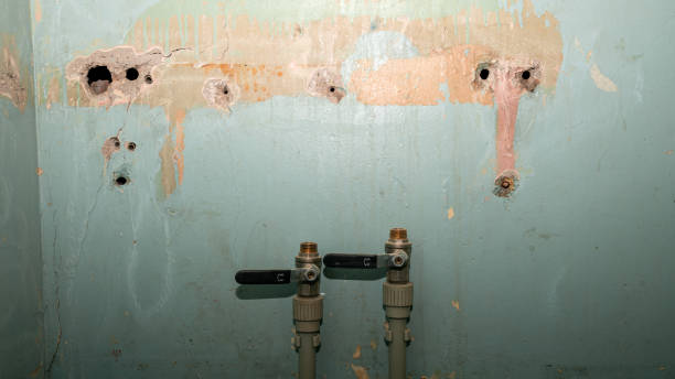 Best Ceiling water damage repair  in Newburgh, IN