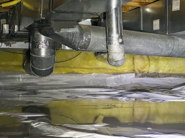 Best Residential water damage restoration  in Newburgh, IN