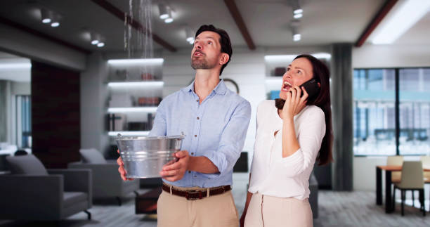 Best Basement water damage restoration  in Newburgh, IN