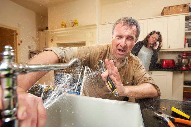 Best Flooded house restoration  in Newburgh, IN